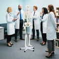 thumbnail image 2 of Costway 70.8" Life Size Human Skeleton Model Anatomical Skeleton with Nerves System, 2 of 10