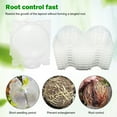thumbnail image 4 of BAYUELSWU Air Layering Pod, Transparent Propagation Ball, Fast Propagation Tree Tubes Plant Propagation Station for Trees, Flowers (L), 4 of 8