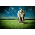 thumbnail image 2 of Madison, Jeff 32x23 White Modern Wood Framed Museum Art Print Titled - Elephant Carry Me, 2 of 4