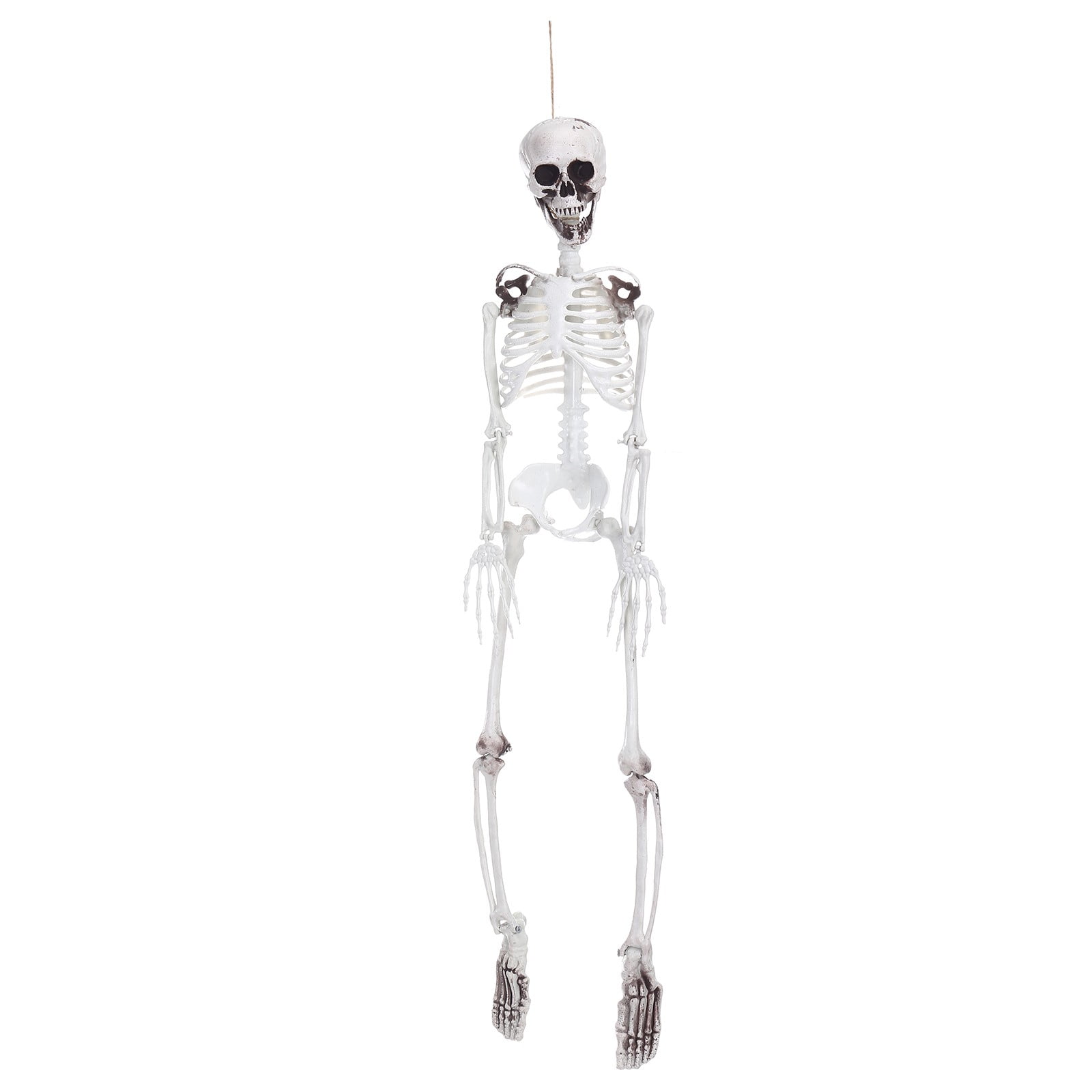 Halloween Party Decoration Full Size Human Skull Skeleton Anatomical 