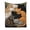 D, variant on huayou Cute Colorful Groups of Cats Sleeping Blanket, Soft, Lightweight, Comfy, for Camping, Hotel, Living Room, Home Decor