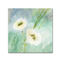 Trademark Fine Art 'Quiet Pond' Canvas Art by Sheila Golden