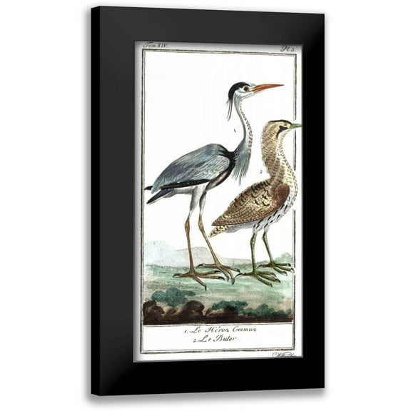 Buffon 9x14 Black Modern Framed Museum Art Print Titled - Buffon Cranes and Herons III
