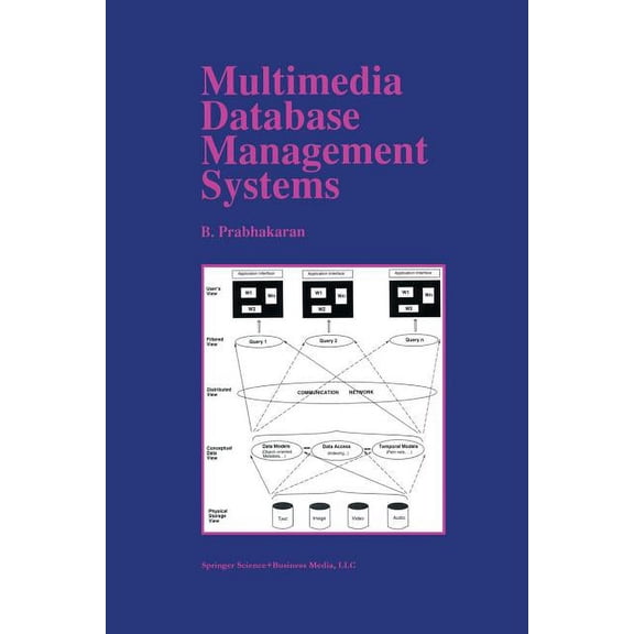The Springer International Engineering a Multimedia Database Management Systems, Book 375, (Paperback)
