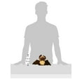 thumbnail image 3 of Wild Republic Bat Stuffed Animal, Plush Toy, Gifts for Kids, Hug'Ems 7 Inches, 3 of 3