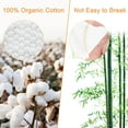 thumbnail image 3 of Bamboo Cotton Swabs 1000 Count - Natural Organic Cotton Buds For Ear - Ear Sticks with A Storage Box Included - Strong 100% Purely Natural Stick for Makeup, Daily Cleaning, Pet, 3 of 9