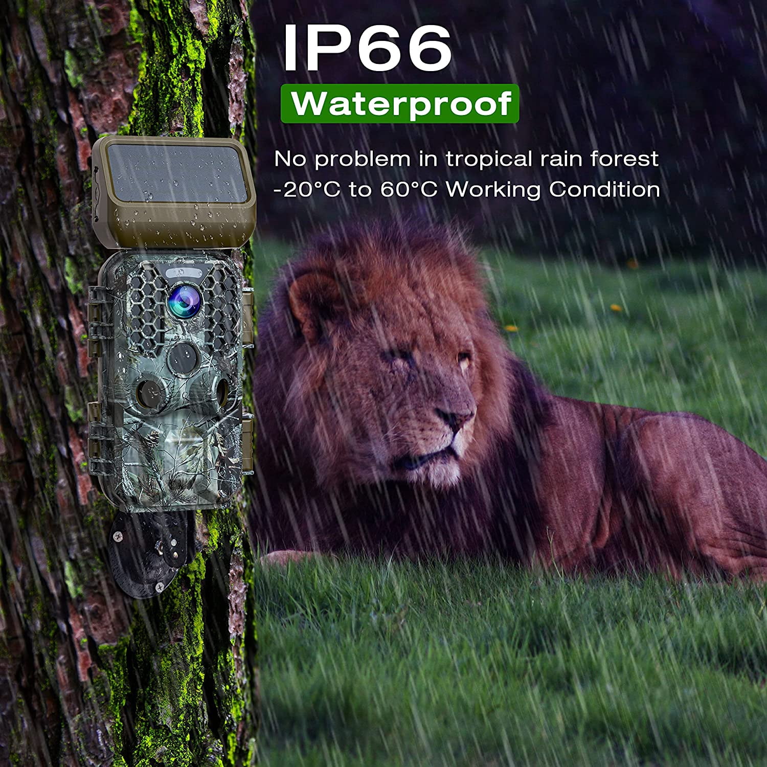 CAMPARK Trail Camera