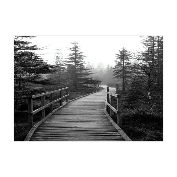 Ambesonne Nature Jigsaw Puzzle Durable Cardboard, Pathway into Wilderness, 1000 pcs, Black and White