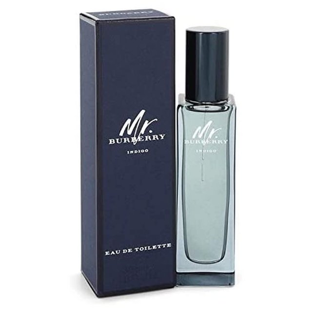 MR BURBERRY INDIGO Edt Spray 1 Oz Burberry