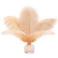 thumbnail image 1 of Feathers Soarer Champagne Avestruz 30-35 cm para jarrón, 15 unidades, 1 of 7