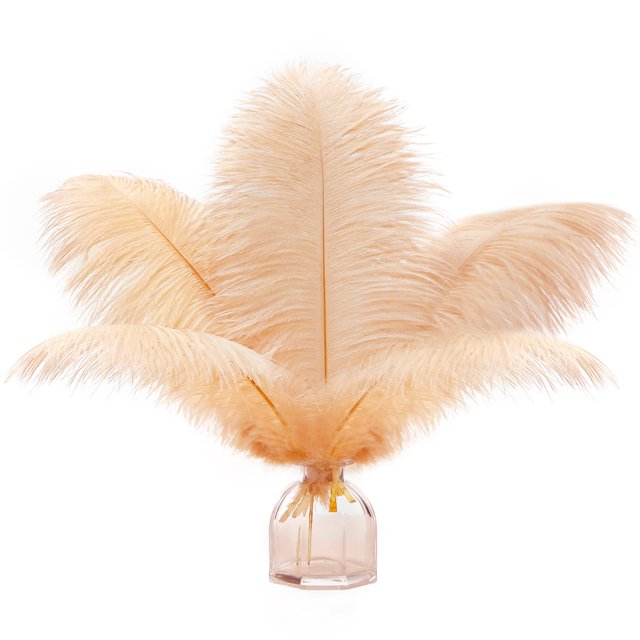 Feathers Soarer Champagne Avestruz 30-35 cm para jarrón, 15 unidades