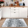 thumbnail image 2 of Hasoo Washable Area Rugs 2' x 3' Small Printed Rug Non-Slip Throw Indoor Floor Carpets Gray, 2 of 5