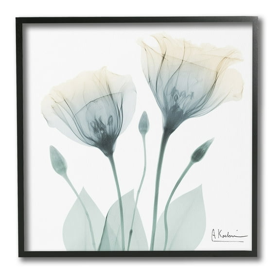 Stupell Industries Opaque Tulip Duo Botanical & Floral Photography Black Framed Art Print Wall Art, 12 x 12