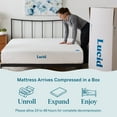 thumbnail image 6 of Lucid Bliss 10" Gel Memory Foam Mattress, Plush, California King, 6 of 12