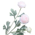 thumbnail image 2 of ERTZAE 2Pc Silk Ranunculus Artificial Flowers,20" Pink Realistic Velvety Ranunculus For Natural-Looking Displays,Real Touch Ranunculus Stems,Fake Peony Flowers,Diy Wedding Bouquet Decor,Peonies Stems, 2 of 9