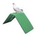 thumbnail image 1 of 10pcs Plastic Bird Perches Non-slip Pigeon Rest Stand - Dove Bird Perch Holder Accessories, 1 of 5
