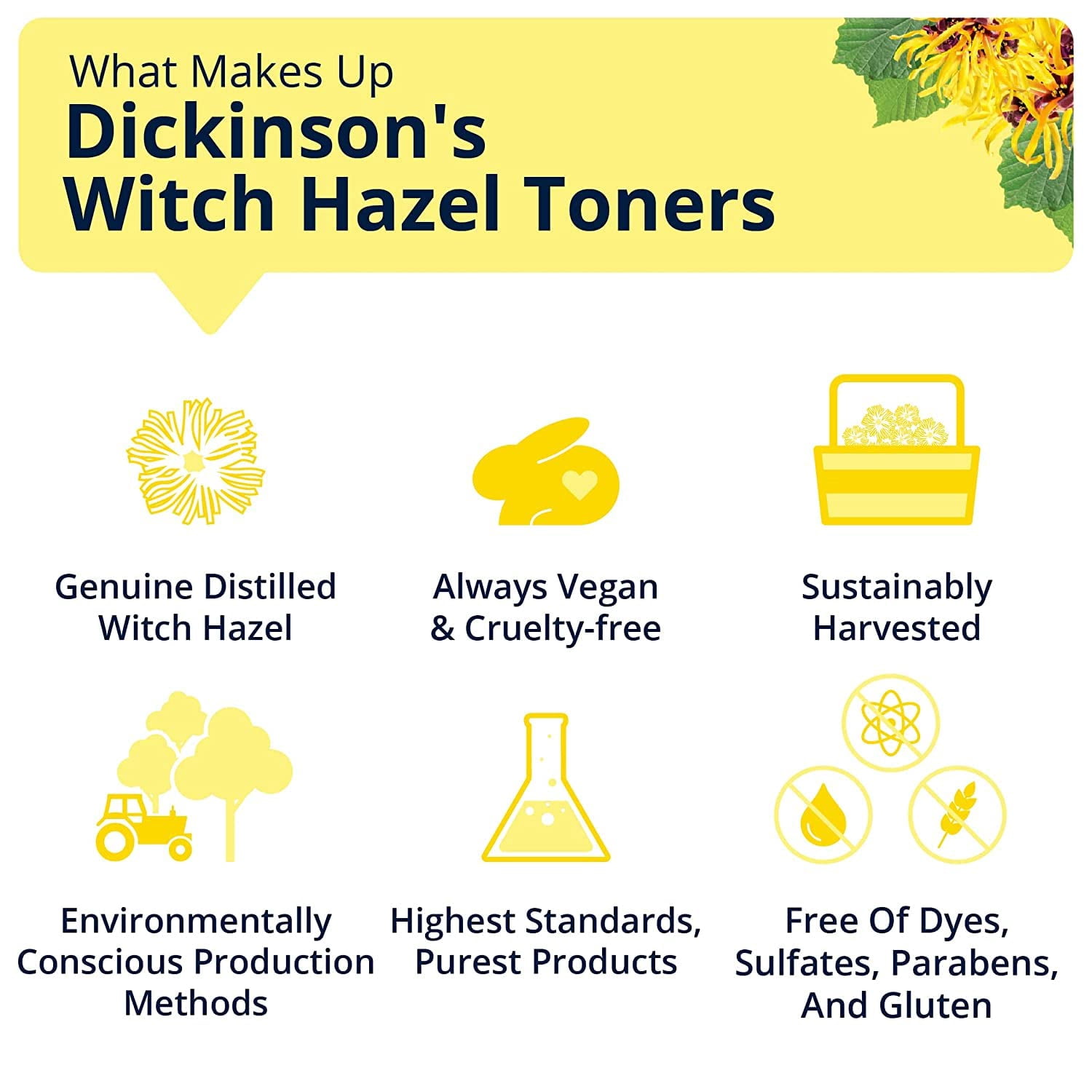 Dickinson's Original Witch Hazel Pore Perfecting Toner 16 oz, Pack of 6