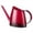 Red, variant on FNGZ Irrigation Supplies Clearance Watering Can for House Bonsai Plants Garden Flower Long Spout 40Oz 1 3 Gallon Yellow