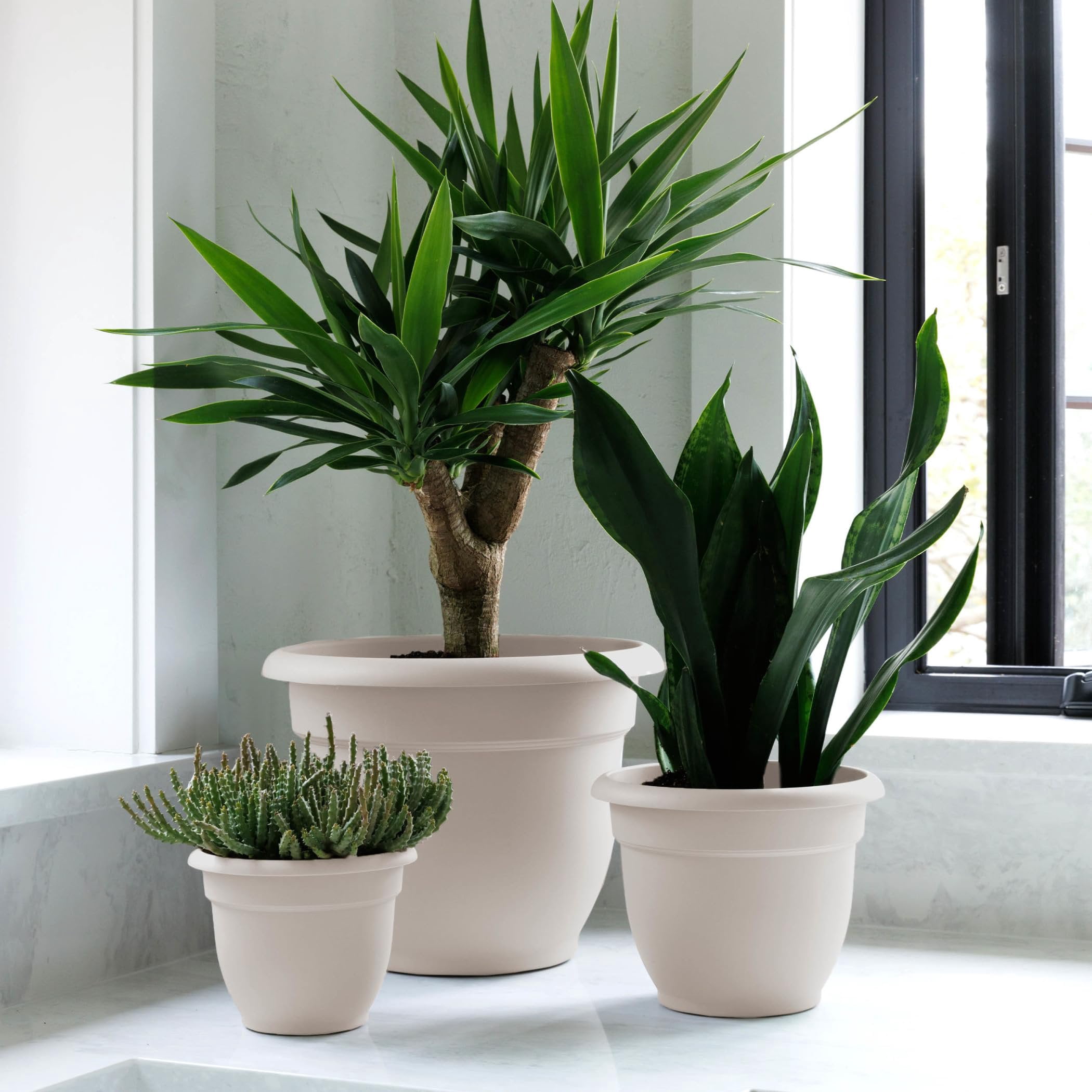 Bloem Ariana 6" Vanilla Bean Round Self-Watering Resin Planter Pot - Rolled Rim Indoor and Outdoor Gardening Planter