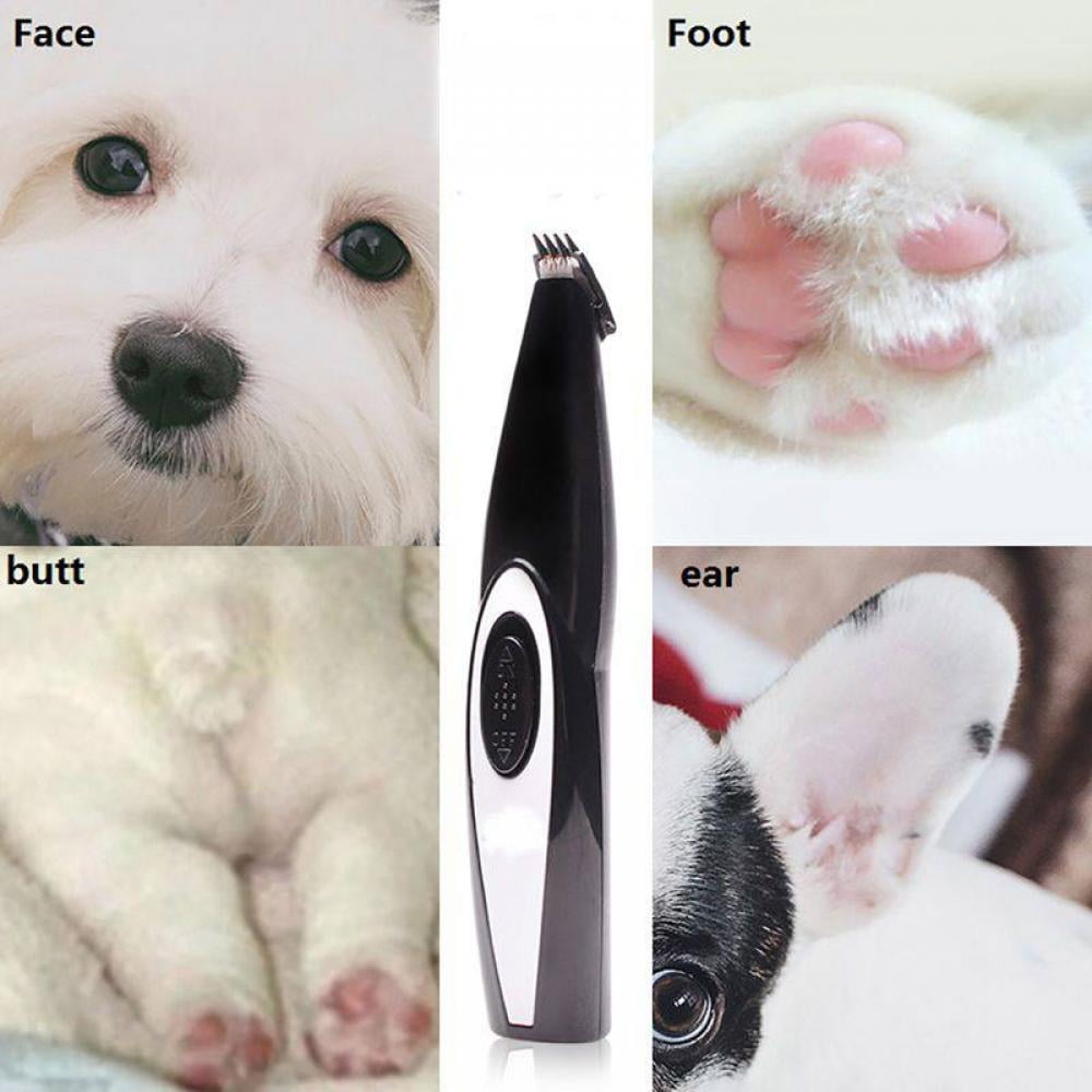 dog face clippers