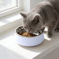 thumbnail image 5 of onlyliua 304 Stainless Steel Slow Feeder Pet Bowl Anti-Choke Non-Tip Raised Dog Cat Food Water Dish Dishwasher Safe Durable Rust-Resistant Design For Small To Medium Pets Slow Feeder Bowl, 5 of 6