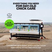 Hatching Time Chick Brooder - 1 Layer H: 9.5 (Power-Washable, Durable, ABS Plastic) | Cimuka