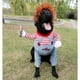 thumbnail image 4 of Objeto ropa tridimensional muñeco mortal disfraz de transformación de perro disfraz de mascota de Halloween divertido 1 rojo Baoji En Vedette, 4 of 5