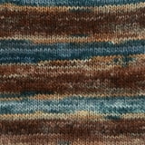 Premier Yarns 1110-03 Blue Ridge-Yarn Spun Colors - Walmart.com