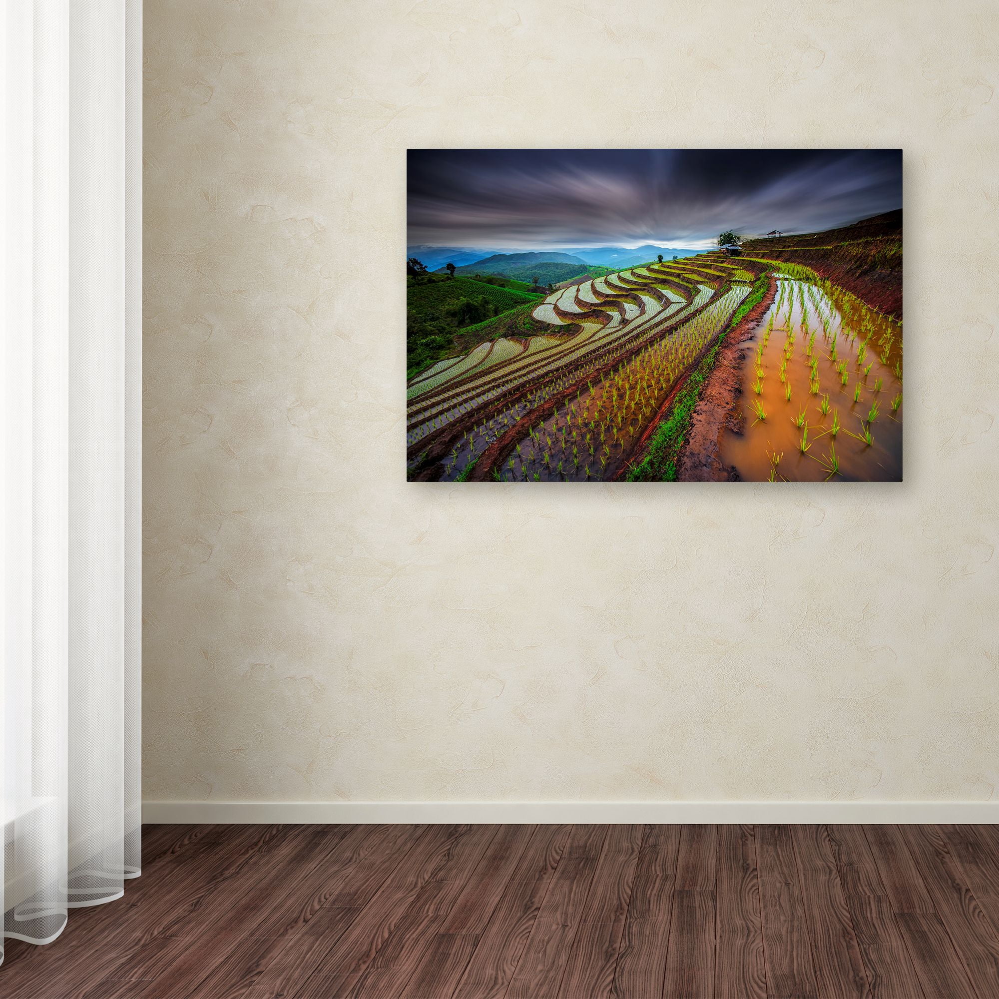 Trademark Fine Art 'Unseen Rice Field' Canvas Art by Tetra