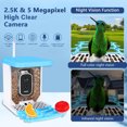 thumbnail image 3 of Smart Bird Feeder with Camera, AI Identify Bird Breed, Solar-Powered WiFi 1080P Live Camera, Auto Capture Backyard Garden Bird Watching, Motion Detection, Ideal Gift for Bird Lovers, 3 of 5