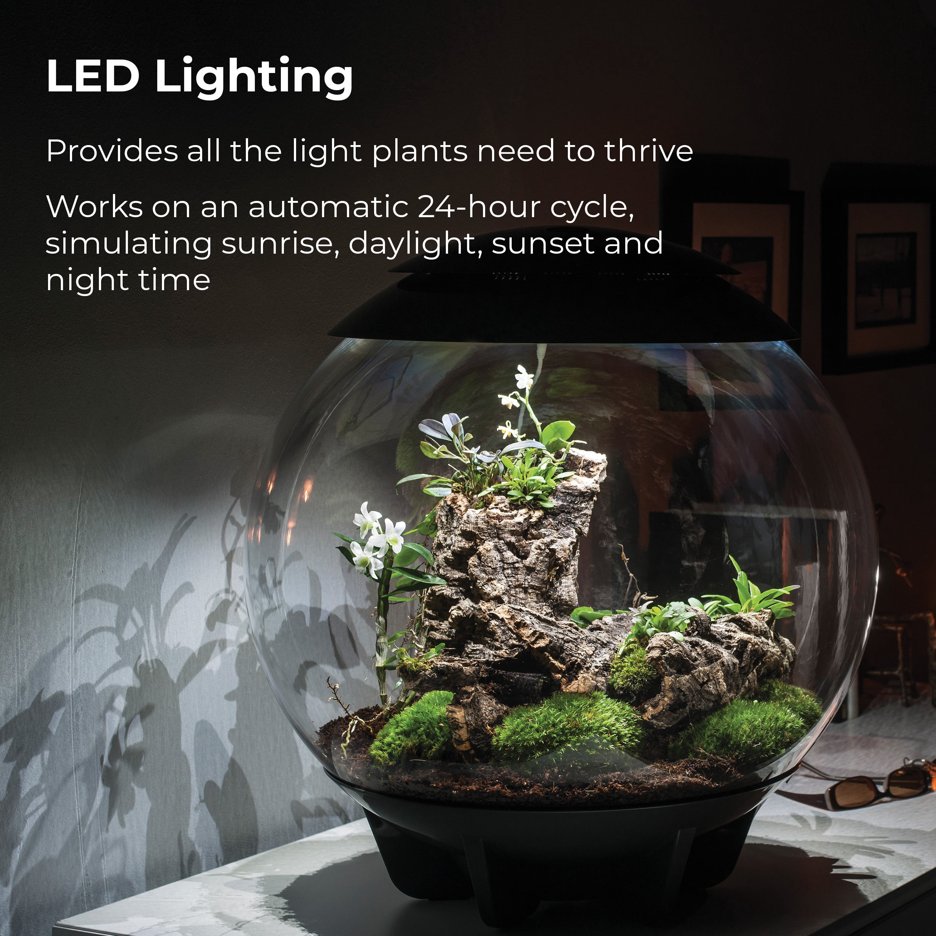 biOrb AIR 60 LED Terrarium With LED Lights - Acrylic, White