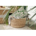 thumbnail image 3 of 20" x 14" Simply Daisy Big Flowers Polyester Indoor/Outdoor Pillow, Leaf Qty 1, 3 of 3