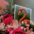 thumbnail image 3 of 3drose, Caribbean Flamingo,phoenicopterus Ruber Ruber, Singapore, 12 Greeting Cards with Envelopes, 3 of 7