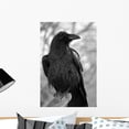 thumbnail image 1 of Maitre Corbeau Wall Mural by Wallmonkeys Peel and Stick Graphic (24 in H x 16 in W) WM96530, 1 of 4