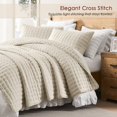 thumbnail image 3 of WDCOZY Beige King Size Quilt Bedding Sets with 2, 3 of 9