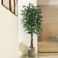 thumbnail image 5 of Colourtree 71 Inch Artificial Ficus Tree with Natural Wood Trunk, Silk Fake Ficus Tree in Plastic Nursery Pot, Faux Plant for Office Home, Indoor Outdoor Decor, 5 of 7