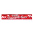 thumbnail image 4 of Birdeem Valentines Day Banner Holiday Party Decoration Hanging Background Cloth Banner, 4 of 5