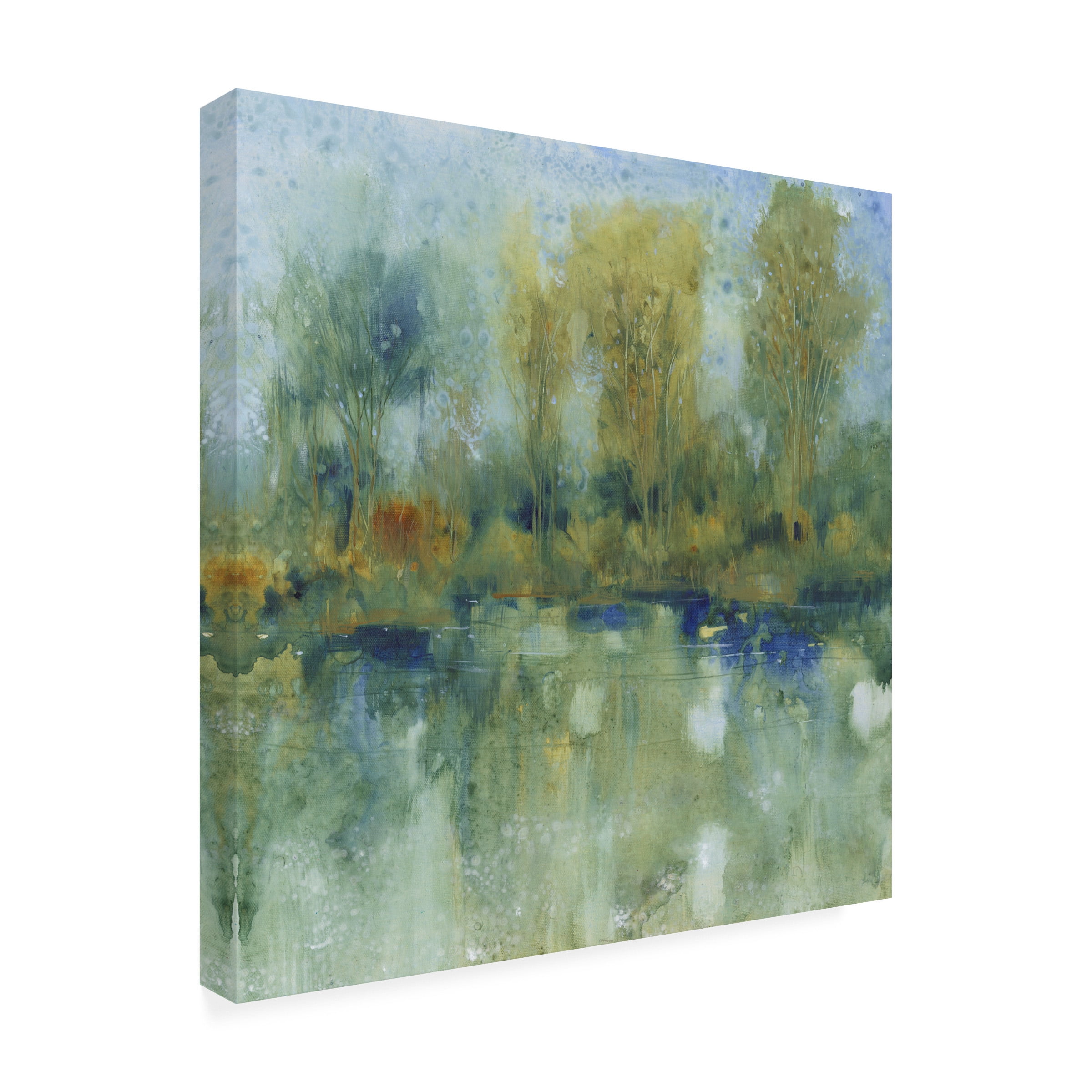 Tim OToole 'Pond Reflection I' Canvas Art