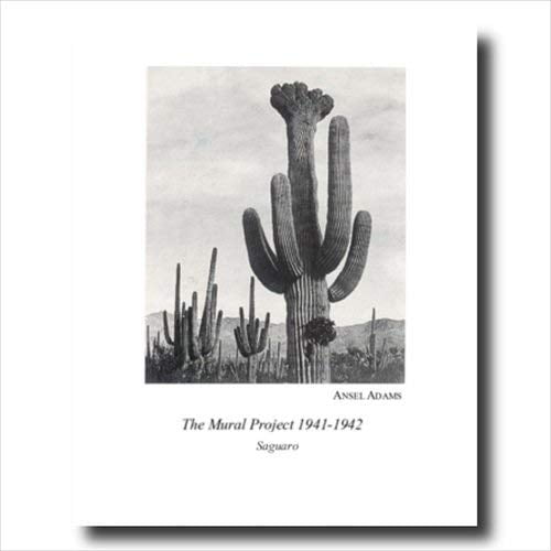 Ansel Adams B/W Photo Cactus Wall Picture Black Framed Art Print 