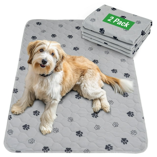 GOGREEN Waterproof Reusable Pets Training Pads Washable Pee Pads for Dogs, Puppy Pads for Potty Training with Leakproof Bottom (2 Pack, 18"x24")
