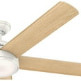 thumbnail image 3 of Hunter Romulus 60 Led Romulus 60" 5 Blade Smart Led Indoor Ceiling Fan - Bronze, 3 of 11