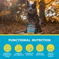 thumbnail image 4 of Brutus Bone Broth Biscuits for Dogs - Protein-Rich Dog Treats with Bone Broth and Real Beef - All Natural and Tasty - 8oz, Pack of 1, Beef Flavor, 4 of 7