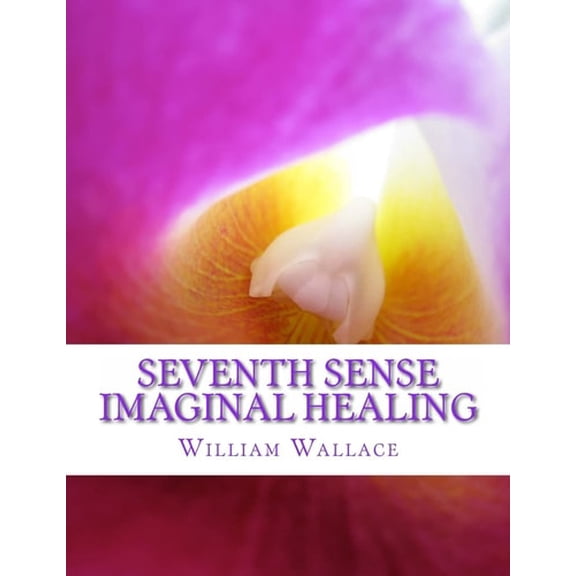 Pre-Owned Seventh Sense Imaginal Healing: An homage to Dr. Richard Bartlett, Benjamin Bibb, Barbara Ann Brennan, Donna Eden, Dr. Meg Blackburn Losey, Dr. Gerald (Paperback) 1478329823 9781478329824