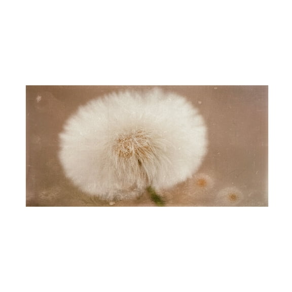 Trademark Fine Art Marie anne Stas Softie Canvas Wall Art