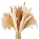 thumbnail image 1 of Cañas de pampa secas de hierba de pampa, cañas de conejo naturales marrones y blancas, compatibles con la decoración del hogar bohemio, 1 of 5