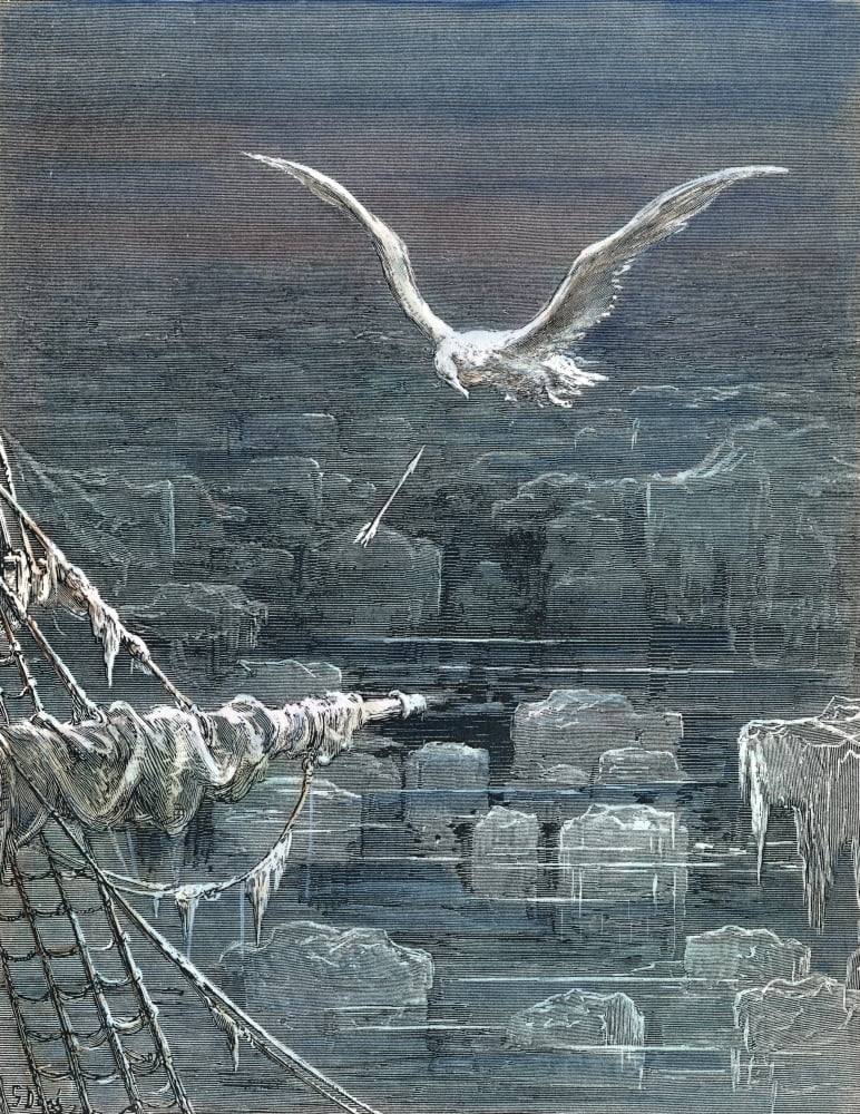 Coleridge Ancient Mariner 1870 The Mariner Shoots The Albatross