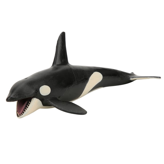 Maravilloso regalo juguete educativo modelo de ballena asesina modelo de ballena asesina mano de obra exquisita para escritorio oficina en casa ANGGREK Otros