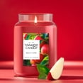 thumbnail image 4 of Yankee Candle Macintosh Original Large Jar Scented Candles, 22 oz, 4 of 7
