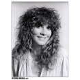 thumbnail image 1 of (Z2048) (enviado Con Tubo Papel) Póster Pintura Decorativa Stevie Nicks Serie Abstracta 30*40 Cm Póster Pintura Decorativa para El, 1 of 9