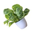 thumbnail image 3 of Artificial Potted Plant Leaf Simulation Leaves Home Office Desktop Greenery Decoration, 3 of 4